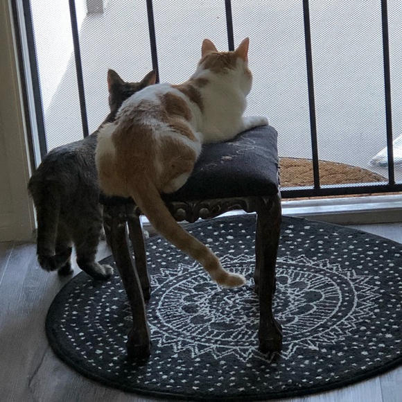 Meet your Posher, Smy - Picture 1 of 1